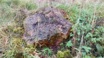 Knighton Bushes - PID:220871