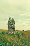 Hawk Stone