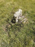 Goose Stones - PID:213012 Goose Stones - PID:213012