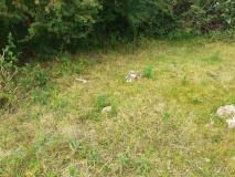 Goose Stones - PID:213011 Goose Stones - PID:213011