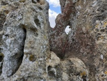 Hawk Stone - PID:213014 Hawk Stone - PID:213014