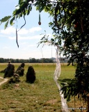 Rollright Stones