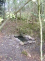 Physic Well (Cumnor) - PID:81528