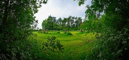 Rollright Stones