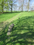 Wayland's Smithy