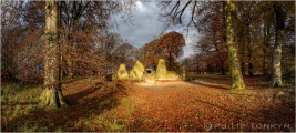 Wayland's Smithy - PID:293408