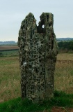 Hawk Stone