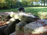 Wayland's Smithy - PID:28353