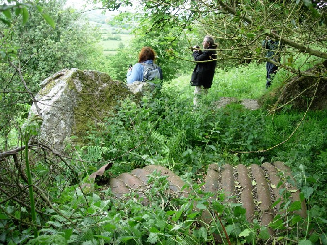 Click for the gallery page to add comments and vote (PID:18792) Giant's Grave (Shropshire)