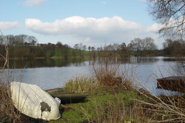 The Berth
