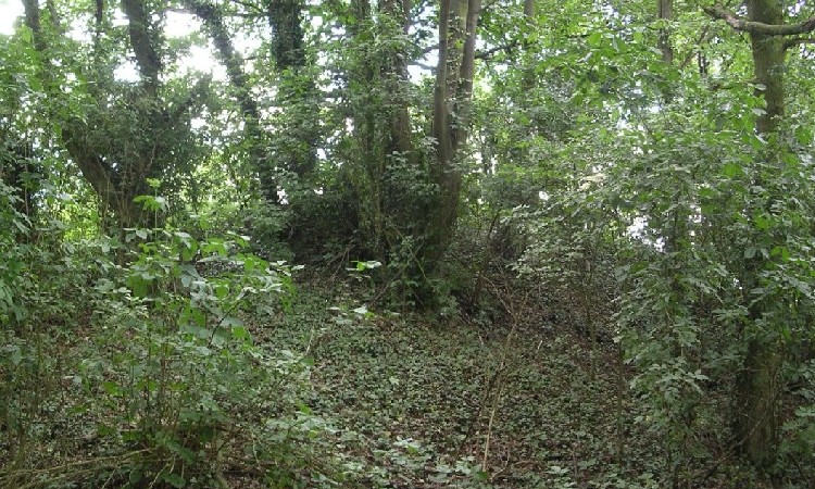 Bromfield Barrows