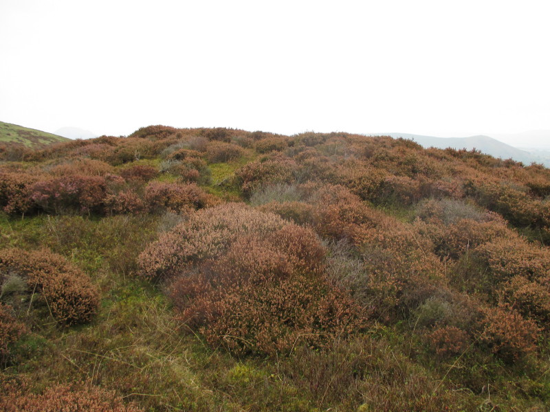 Click for the gallery page to add comments and vote (PID:125990) Cross Dyke Bowl Barrow North
