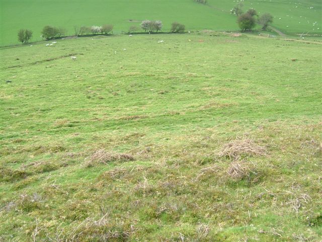 Heath Mynd Bronze Age Homestead