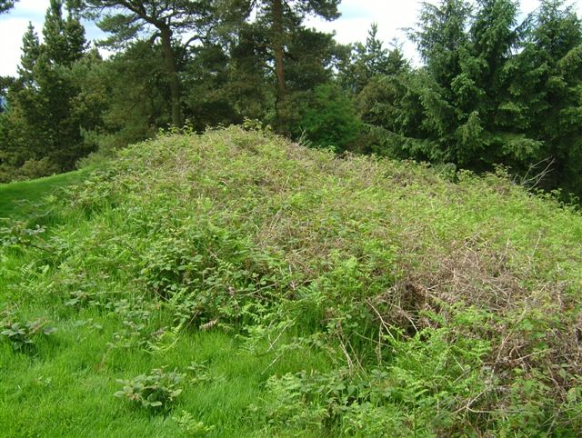 Wart Hill Camp