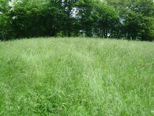 Castle Ring (Shropshire)