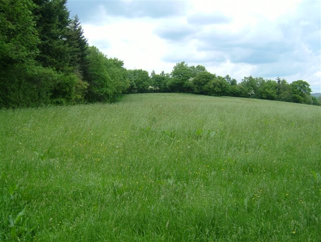 Castle Ring (Shropshire)