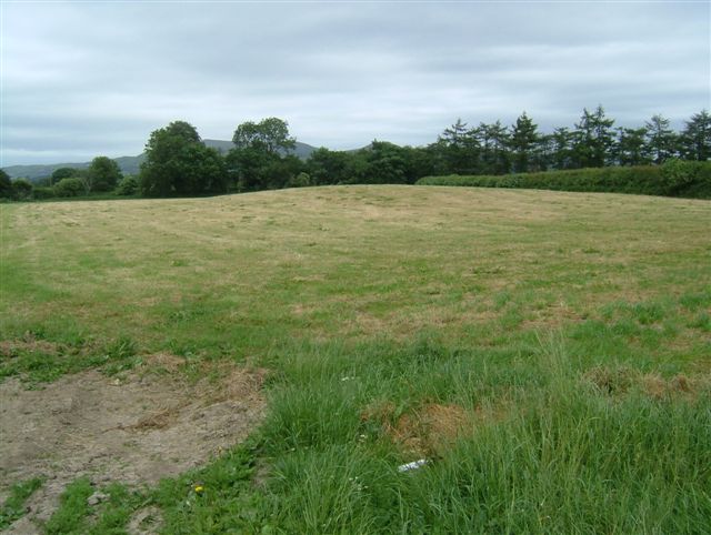 The Rossett