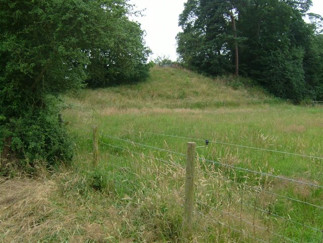 Chesterton Walls