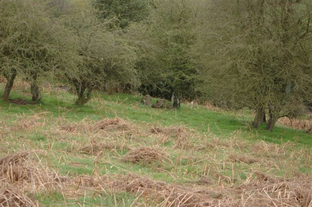 Giant's Grave (Shropshire)
