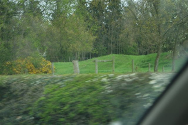 Calcot Camp