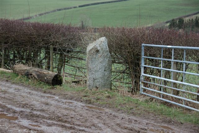 Click for the gallery page to add comments and vote (PID:27984) Pen-Y-Wern Conglomerate