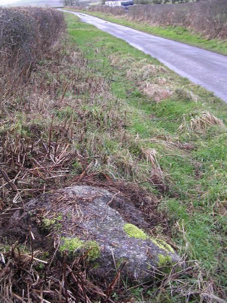 Clun Hill Glacial Erratic