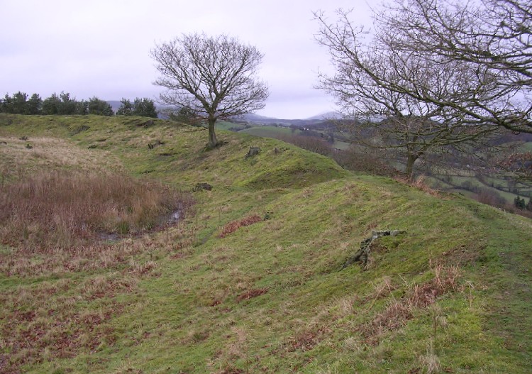 Burrow Hill Camp (Shropshire)