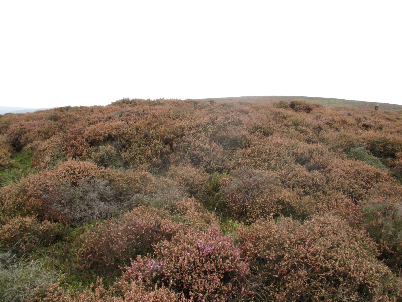 Cross Dyke Bowl Barrow South