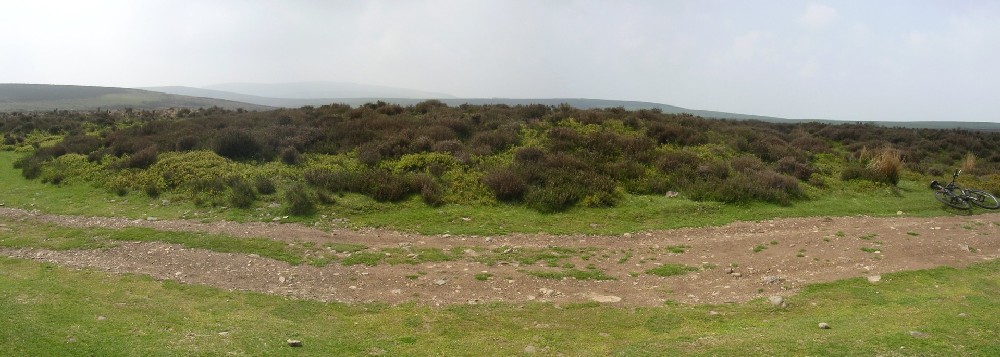 Long Mynd B