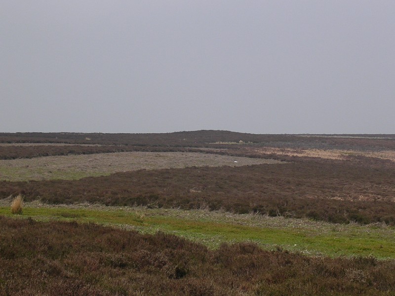 Long Mynd C