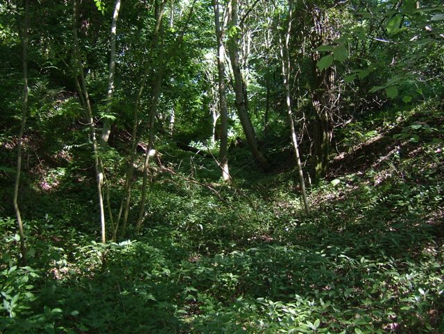 Click for the gallery page to add comments and vote (PID:8546) Mogg Forest Hillfort