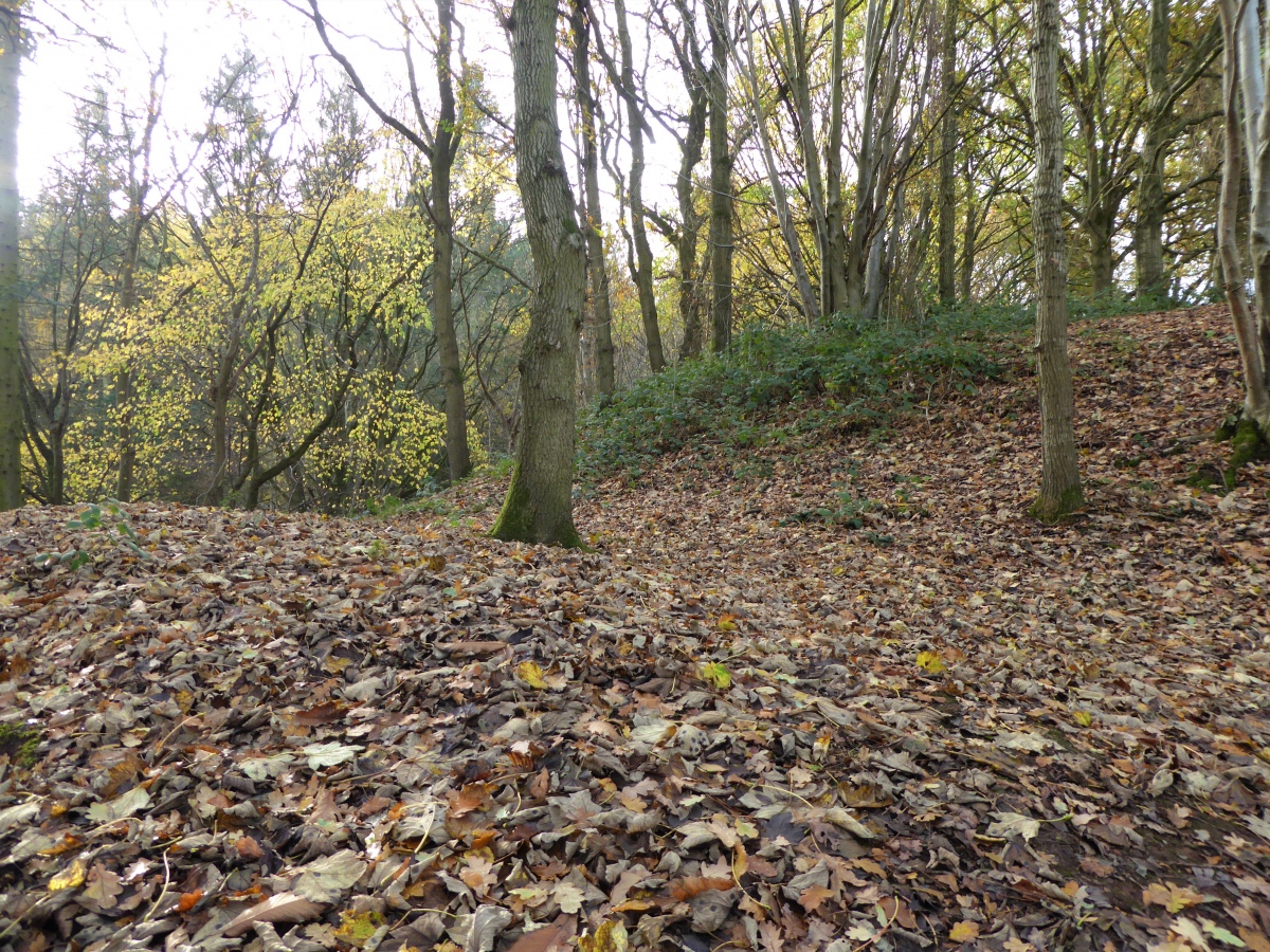 Pontesford Hill Hillfort : The Megalithic Portal and Megalith Map: