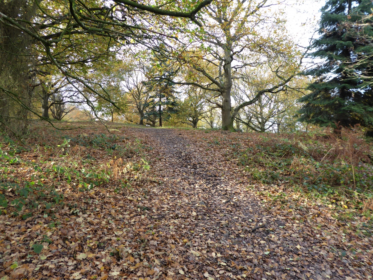 Pontesford Hill, Shropshire | Megalithic Portal