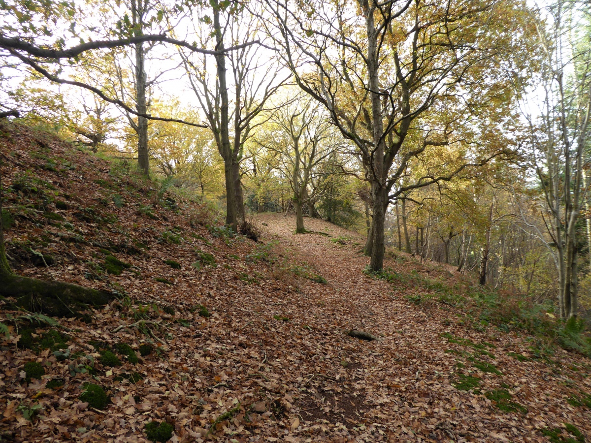 Pontesford Hill Hillfort : The Megalithic Portal and Megalith Map: