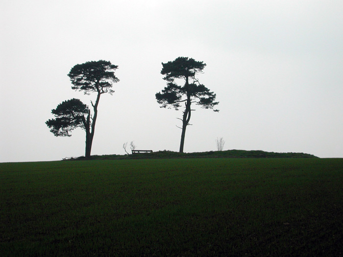 Pen-Y-Wern Hill