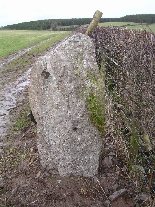 Pen-Y-Wern Conglomerate