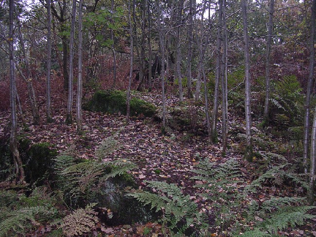 Robin Hood's Chair