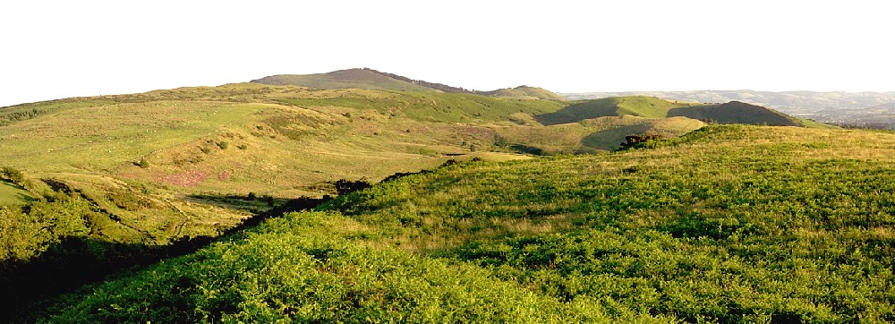 Castle Ring (Rorrington)