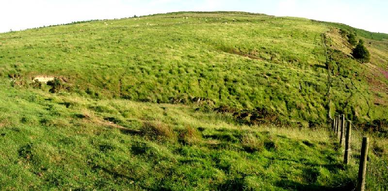 Holywell Brook (Rorrington)