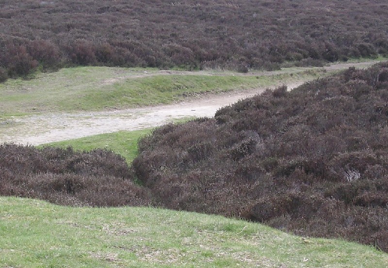 Shooting Box Disc Barrow