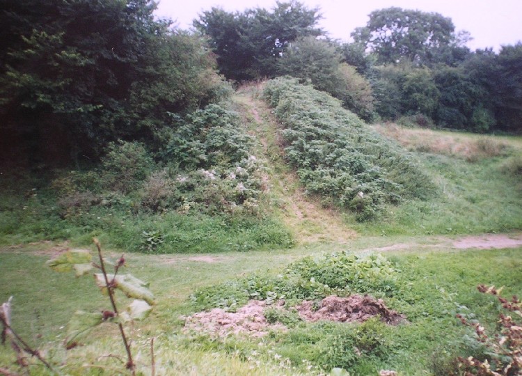 Whittington Castle
