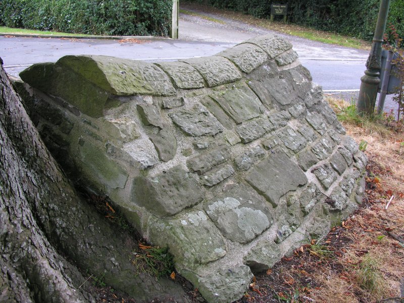 Click for the gallery page to add comments and vote (PID:33310) St Julian's Well (Ludlow)