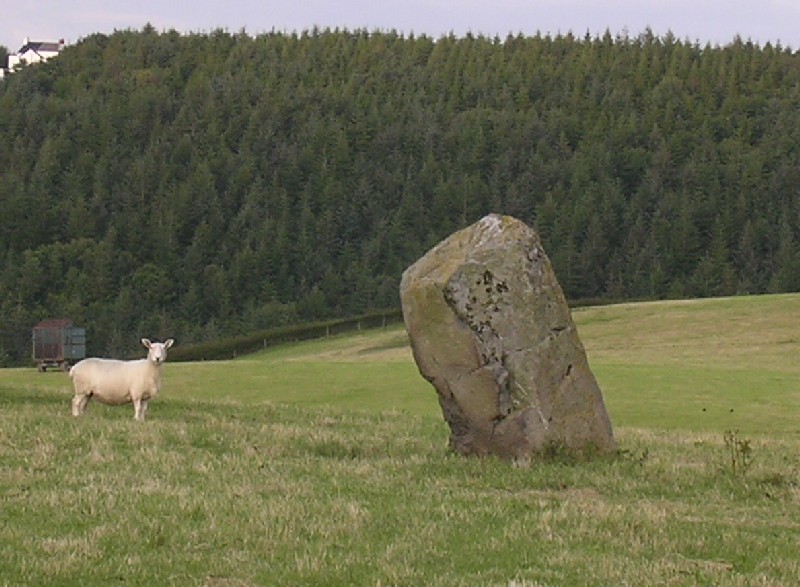 Cynynion Standing Stone