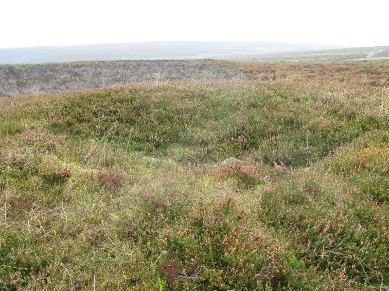 Click for the gallery page to add comments and vote (PID:125959) Long Mynd C