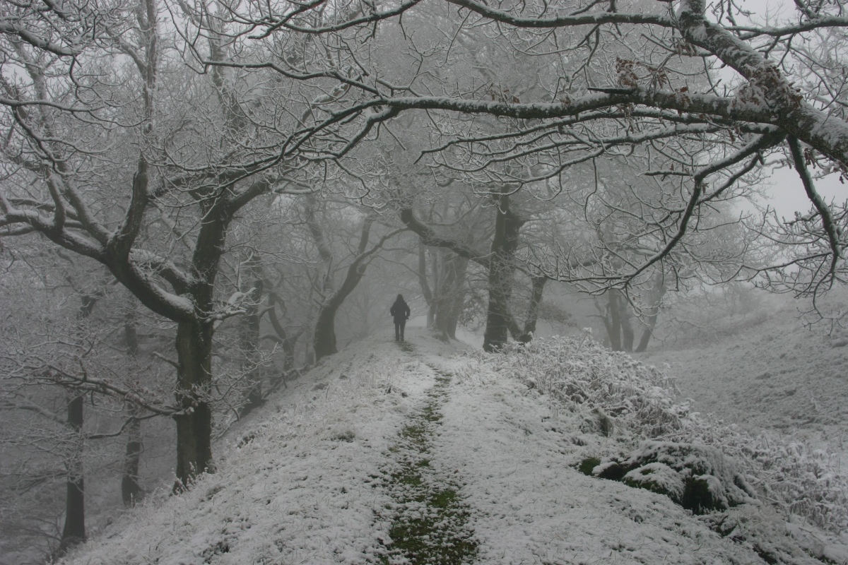 Click for the gallery page to add comments and vote (PID:252148) Burrow Hill Camp (Shropshire)