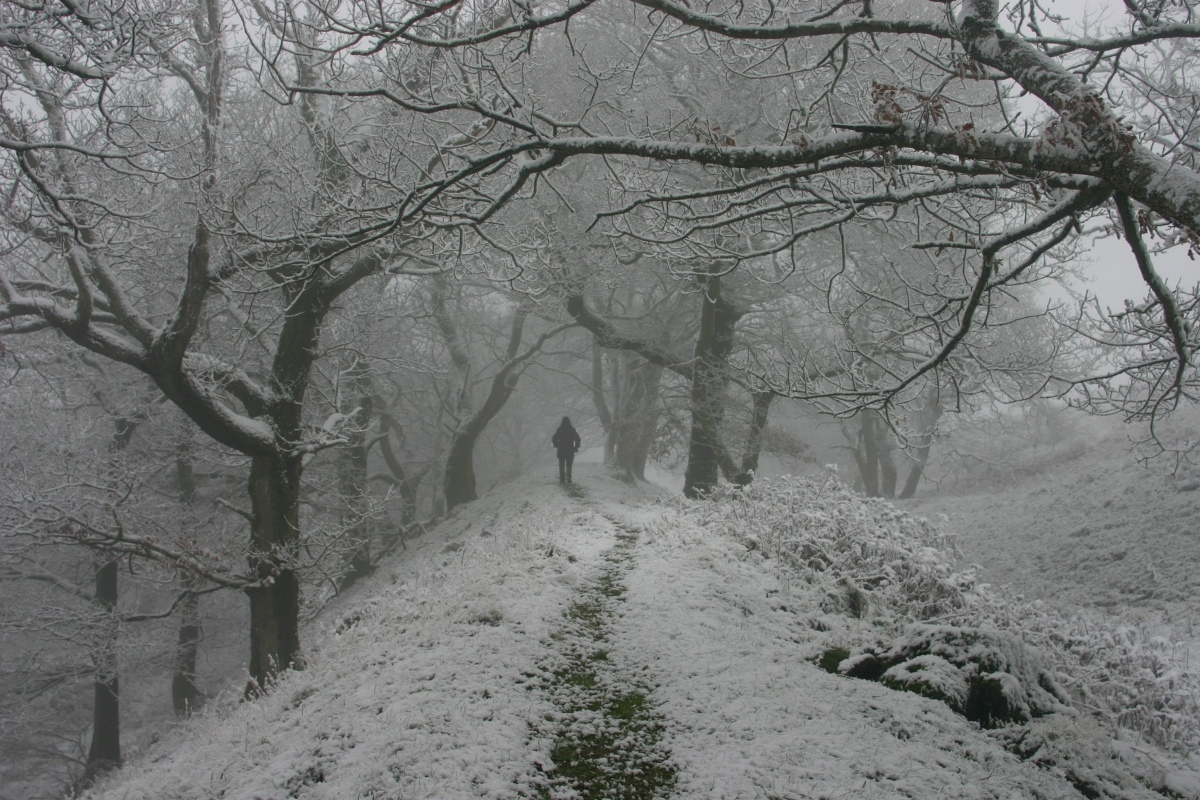 A different view on the Burrow Hill Fort in the South Shropshire Hills 