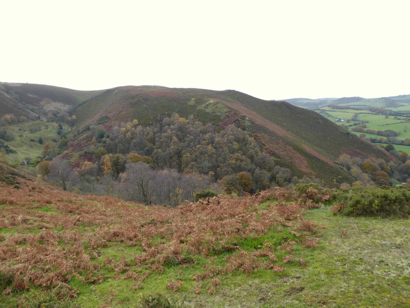 Castle Ring (Stiperstones)