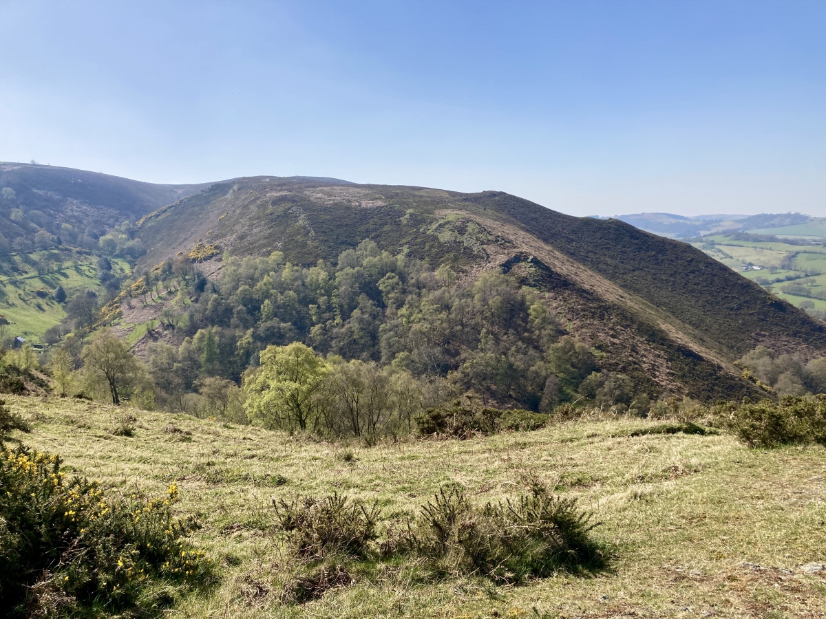 Castle Ring (Stiperstones)