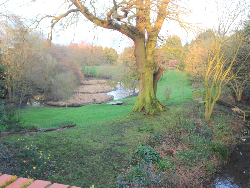 Pave Lane Hillfort