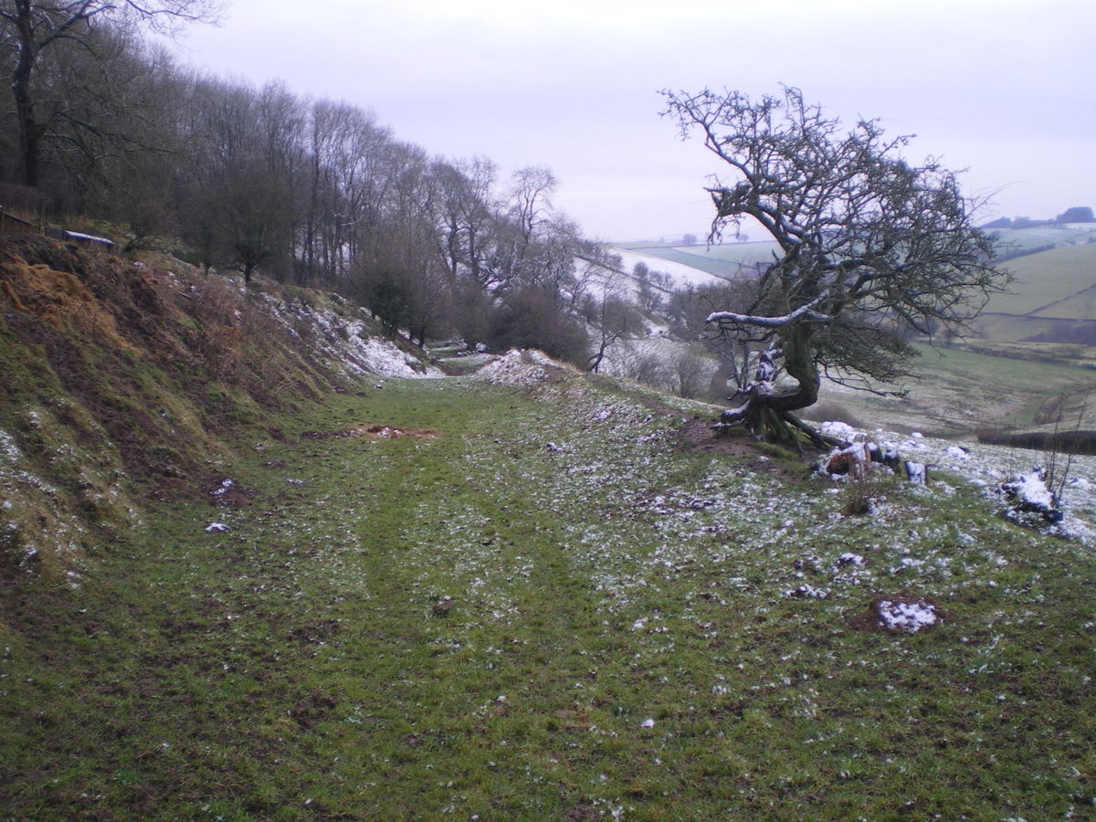 St Chad's Well (nr Clun) and Offa's Dyke